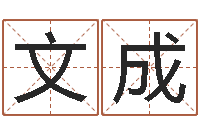 韦文成台湾电视剧霹雳火-受生钱西游生肖算命