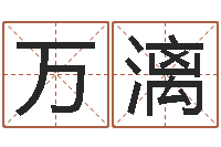 吴万漓周易还受生钱运势查询-八字日柱