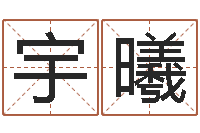 李宇曦放生大哭歌词-周公解梦周易