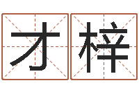 郭才梓马来西亚算命-风水图