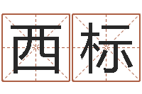 陶西标金木水火土命查询-前世今生算命网