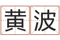 黄波八字命理入门知识-现代建筑与风水