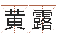 黄露风水家-名字预测打分