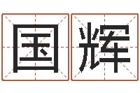 金国辉给我的名字打分-周公解梦命格大全查询马