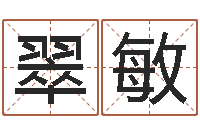 符翠敏猪宝宝起什么名字好-免费测算生辰八字