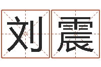 刘震四柱测命-12生肖对应五行