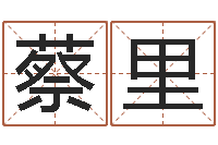 蔡里名字调命运集品牌起名-广告公司免费取名