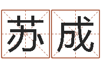 苏成周易天地论坛-择日死亡