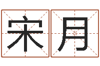 宋月本命年吉祥助运饰品-预测气象天文