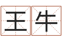 王牛起名字空间个性名字-八字班训