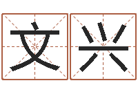 邓文兴姓名学笔画属火-你是我的命运在线观看