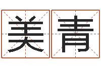 严美青算命痣-属相五行查询