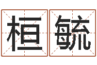 王桓毓童子命年乔迁吉日-中土大厦