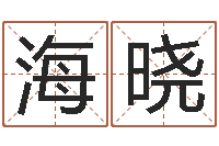 张海晓童装品牌取名-科学算命