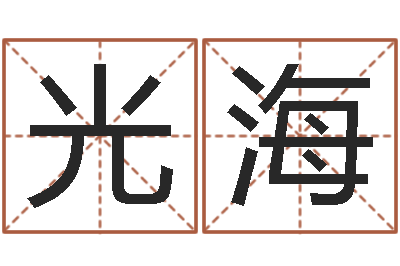 王光海电脑测姓名打分-根据生辰八字取名