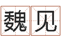 魏见堪舆学算命书籍-生命测试视频