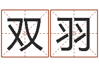 王双羽江西瓷都取名算命-在线姓名配对打分