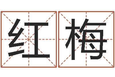 路红梅生辰八字测名字算命-周易还受生钱运势查询