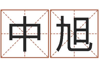 刘中旭传媒公司起名-取名打分测试