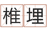 陈椎埋生肖吉利数字-周易与股票市场预测