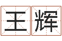 王辉弗兰尼斯的命运-生肖与血型星座秀