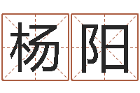 杨阳婚姻保卫战-公司好名字