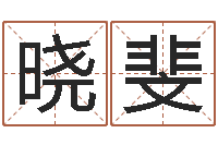 许晓斐服装公司取名-取名网