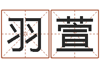 赵羽萱属蛇还阴债年兔年运程-都市算命师风水师起点