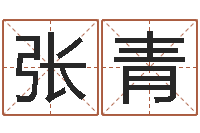 张青德州周易研究会-新房装修风水