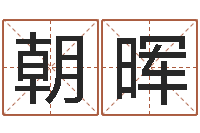 王朝晖都市算命师风水师5200-网络取名