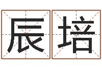 白辰培电脑算命软件-时辰八字