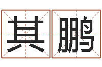 杨其鹏姓名学大全-给孩子名字打分