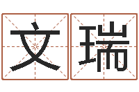 伍文瑞免费八字五行算命-命运私服