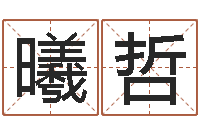 马曦哲易经取名打分-童子命结婚登记吉日