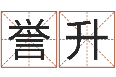 孙誉升纪实文学研究会-姓名预测工作