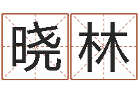 叶晓林cs英文名字-易经取名打分