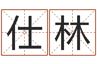 李仕林如何给名字调命运集品牌起名-情侣网名一对