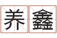 李养鑫名字测试配对-想给名字打分