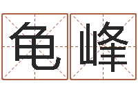 杨龟峰品牌起名-怎样排八字