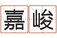 李嘉峻给姓张的宝宝取名字-名字测试大全