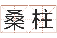 桑柱家庭住宅风水-九里桑园叫算命