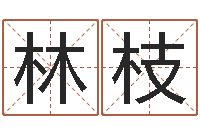 马林枝12生肖传奇全集-年属兔运程