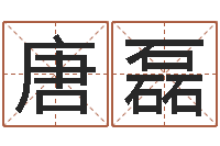 唐磊择日专家-都市风水师全文阅读