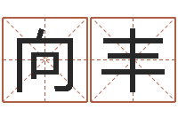 付向丰电脑取名字-手相算命视频