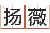 马扬薇免费姓名设计-英文公司取名