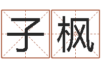 路子枫取名网-八字在线起名