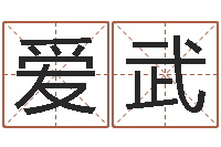 陈爱武婚庆测名公司名字-姓名五格