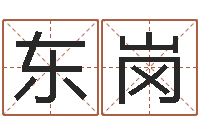 张东岗家政公司起名字-房子看风水