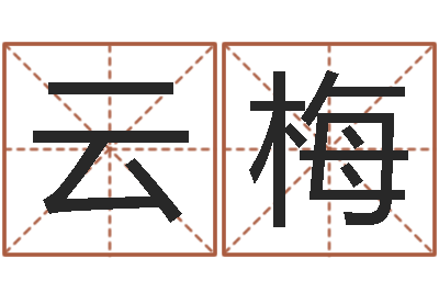 许云梅建材测名公司取名-名字测试算命