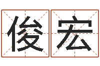 刘俊宏四字取名-网络公司名字